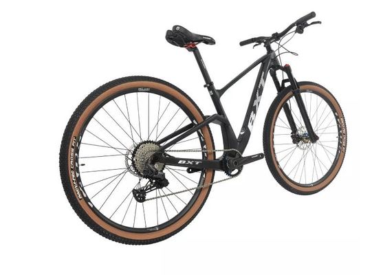 29 Full Carbon Fiber Mountain Bikes XC Mountain Bike 11 Speeds