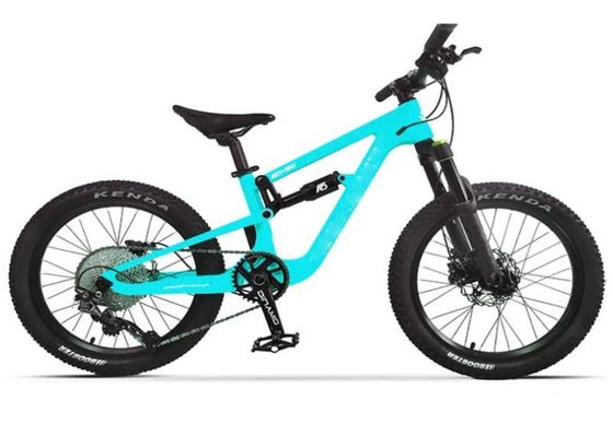 20 Full Suspension Carbon Mountain Bikes 10 Speed Carbon Bike Frame Mtb for Kids