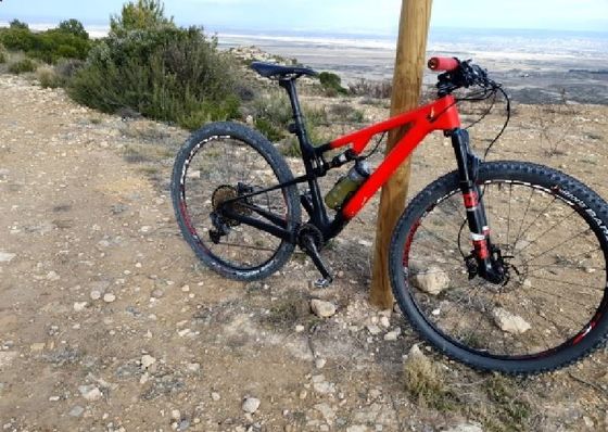 29 Full Suspension Carbon Mountain Bike 11 Speed MTB Bicycles