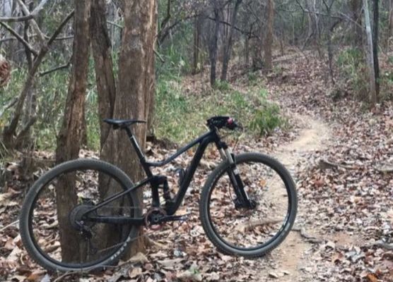 29 Dual Shockingproof MTB Carbon Mountain Bike 11 Speed Disc Brake