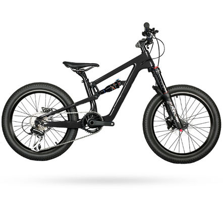 20 Full Suspension Carbon Mountain Bikes 10 Speed Carbon Bike Frame Mtb for Kids