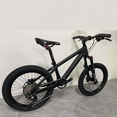 24er Kids Sports Bike Full Carbon Childrens Mountain Bike Shimano Group Set
