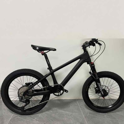 24er Kids Sports Bike Full Carbon Childrens Mountain Bike Shimano Group Set