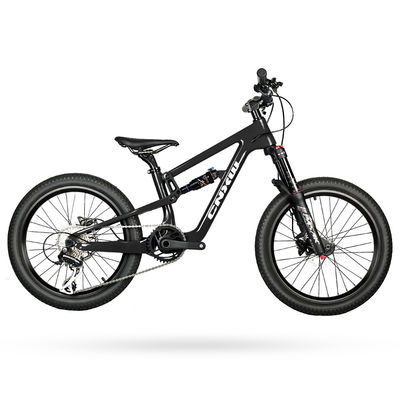 24 Inch Teenager Carbon Mountain Bike W/Shimano 10Speed Full Suspension Bike
