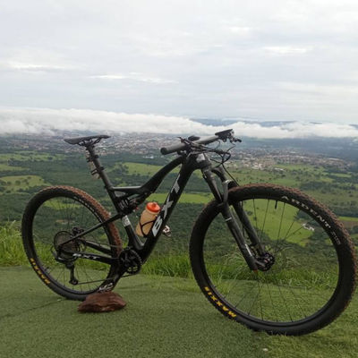 29Inch Adults Carbon Fiber Complete Bikes Dual Suspension Mountain Bicycles