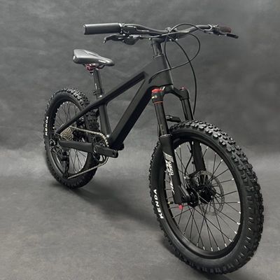 20er Kids Mountain Bike Disc Brake Shimano 10 Speed Bicycle For Children