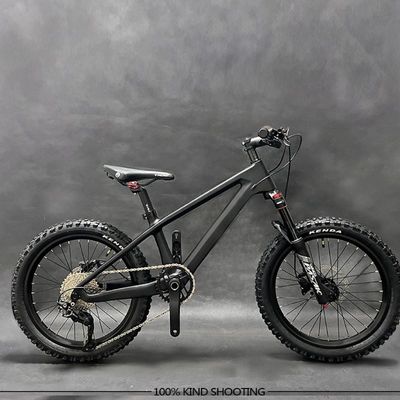 20er Kids Mountain Bike Disc Brake Shimano 10 Speed Bicycle For Children