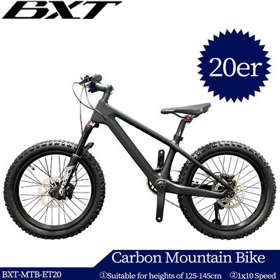 20er Kids Mountain Bike Disc Brake Shimano 10 Speed Bicycle For Children