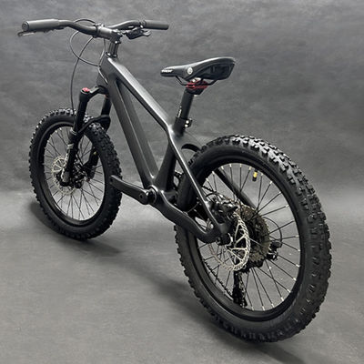20er Kids Mountain Bike Disc Brake Shimano 10 Speed Bicycle For Children