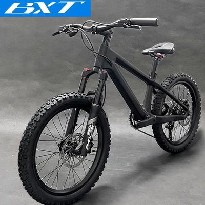 20er Kids Mountain Bike Disc Brake Shimano 10 Speed Bicycle For Children
