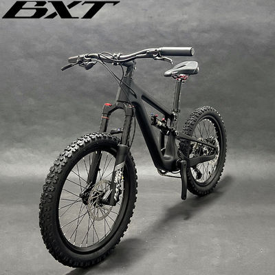 Full Suspension Carbon Mountain Bike 10 Speed Shimano Groupset For Kids