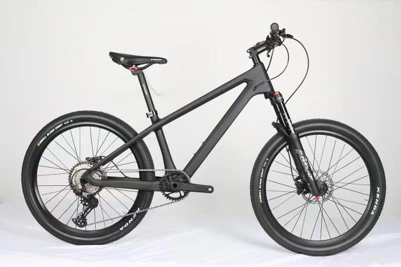 20er MTB Mountain Childrens Disc Brake Bikes Shimano 10 Speed