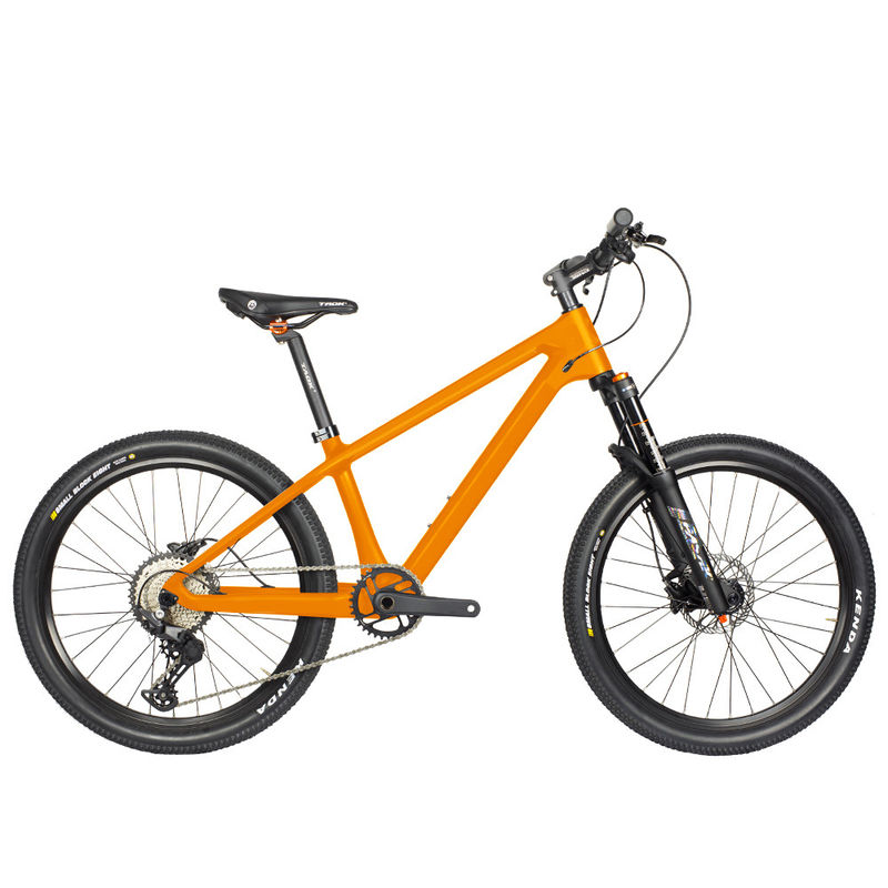 24er Kids Sports Bike Full Carbon Childrens Mountain Bike Shimano Group Set