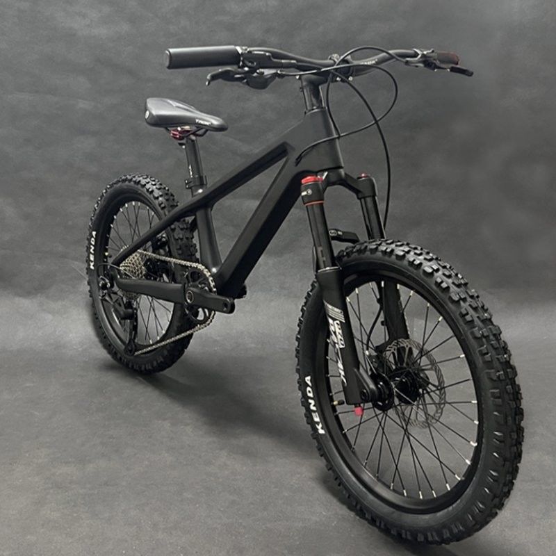 20er Kids Mountain Bike Disc Brake Shimano 10 Speed Bicycle For Children